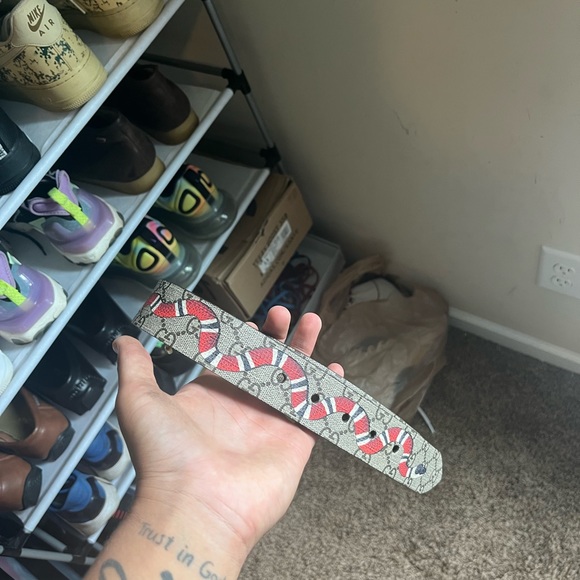 Gucci- Supreme Kingsnake belt - Picture 3 of 5